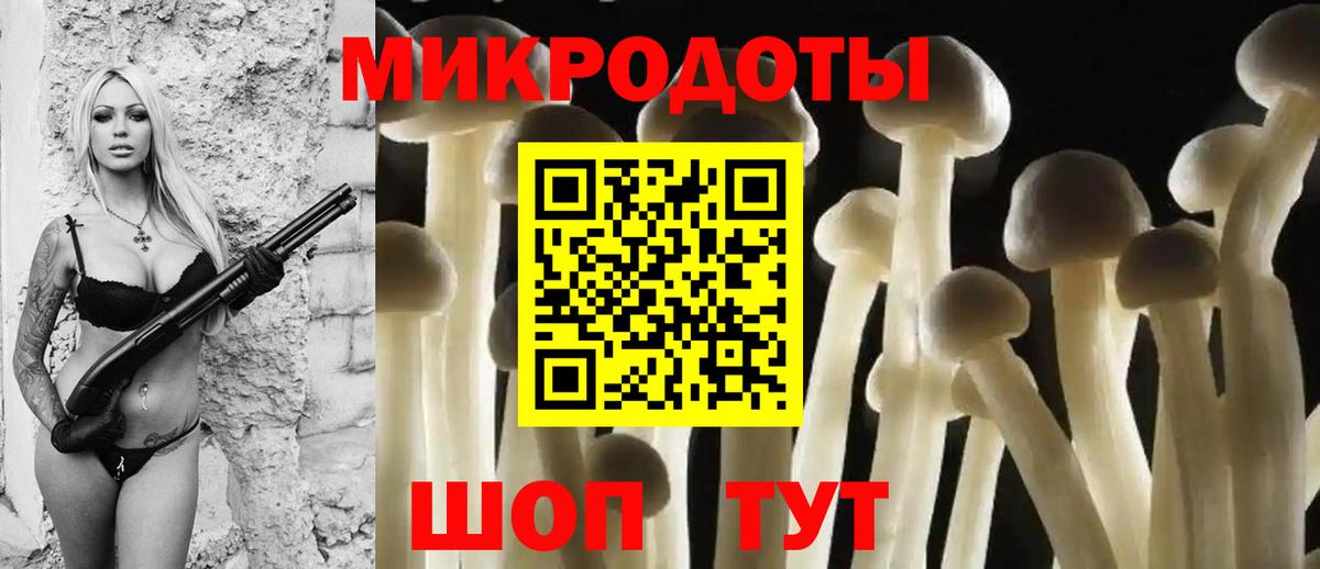 Псилоцибиновые грибы Cubensis Зима